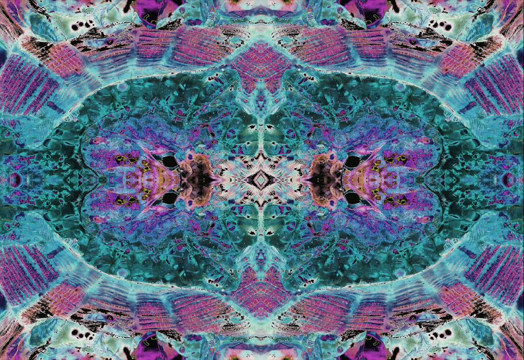 Denman Island Jellyfish