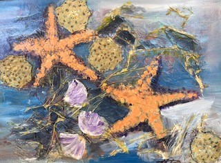 Maureen Drew starfish